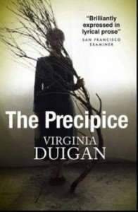 The Precipice by Virginia Duigan
