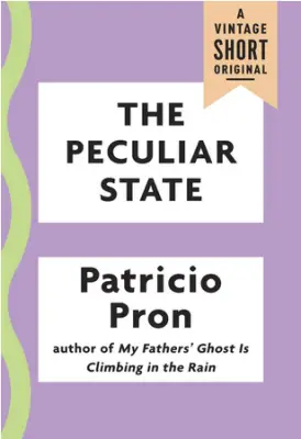Book Review – THE PECULIAR STATE by Patricio Pron