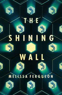 Melissa Ferguson on what inspired her to write The Shining Wall