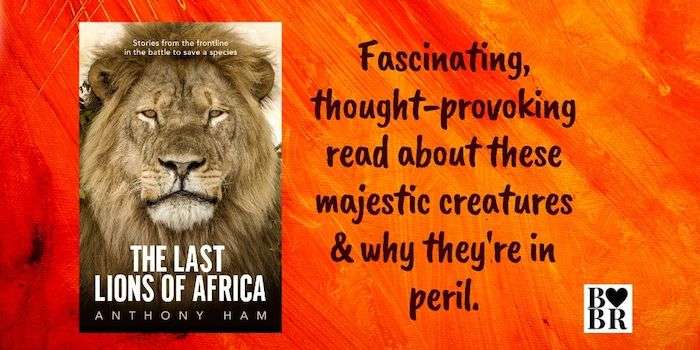 The Last Lions of Africa Review