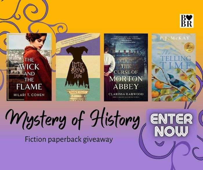 Mystery of History Book Giveaway - 4 paperback novels