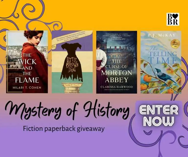 The Mystery of History Book Giveaway, 4 paperback novels