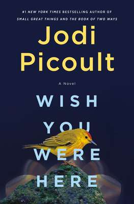 New fiction books 2021 - Wish You Were Here