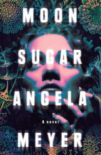 Moon Sugar by Angela Meyer - Book Cover