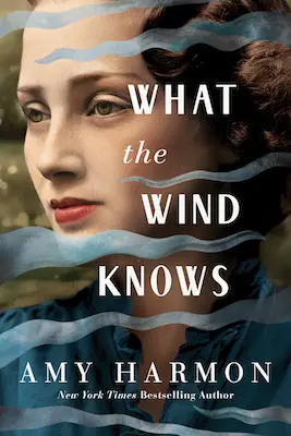 Romance time travel novels - What the Wind Knows