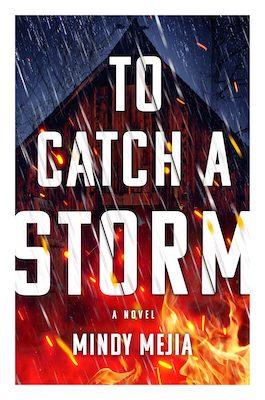 Best new books 2023 - To Catch a Storm