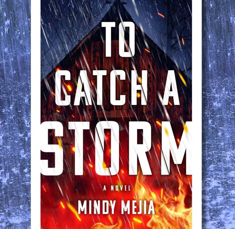 To Catch A Storm by Mindy Mejia, Review: Enigmatic pairing
